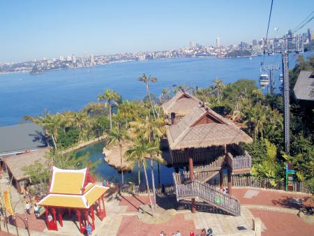 Sydney Je Te Quitte...Je Pars Au Taronga ZOO...